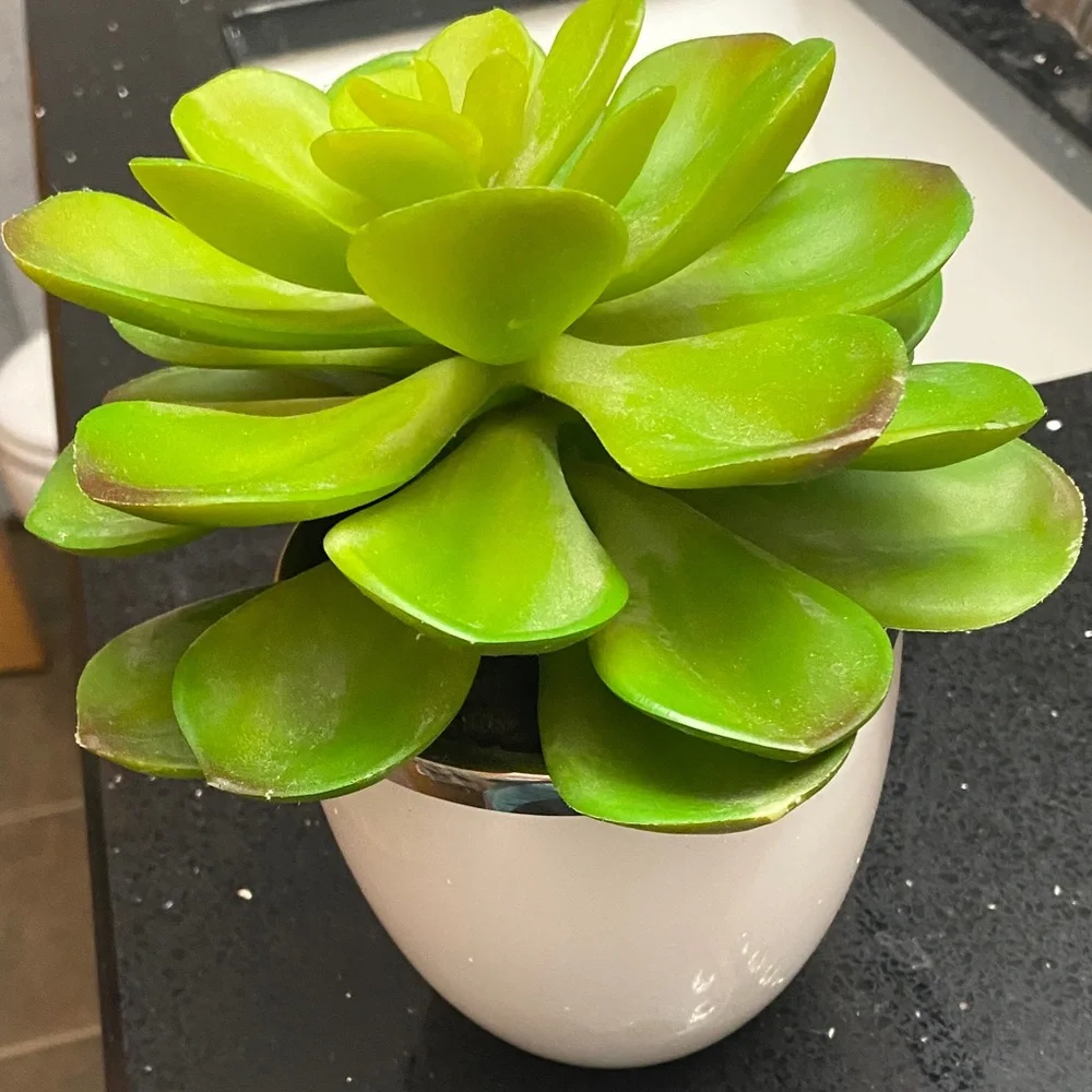Succulent faux plant